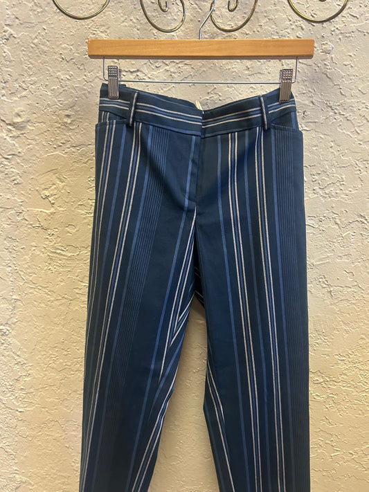 Ann Taylor sz10P